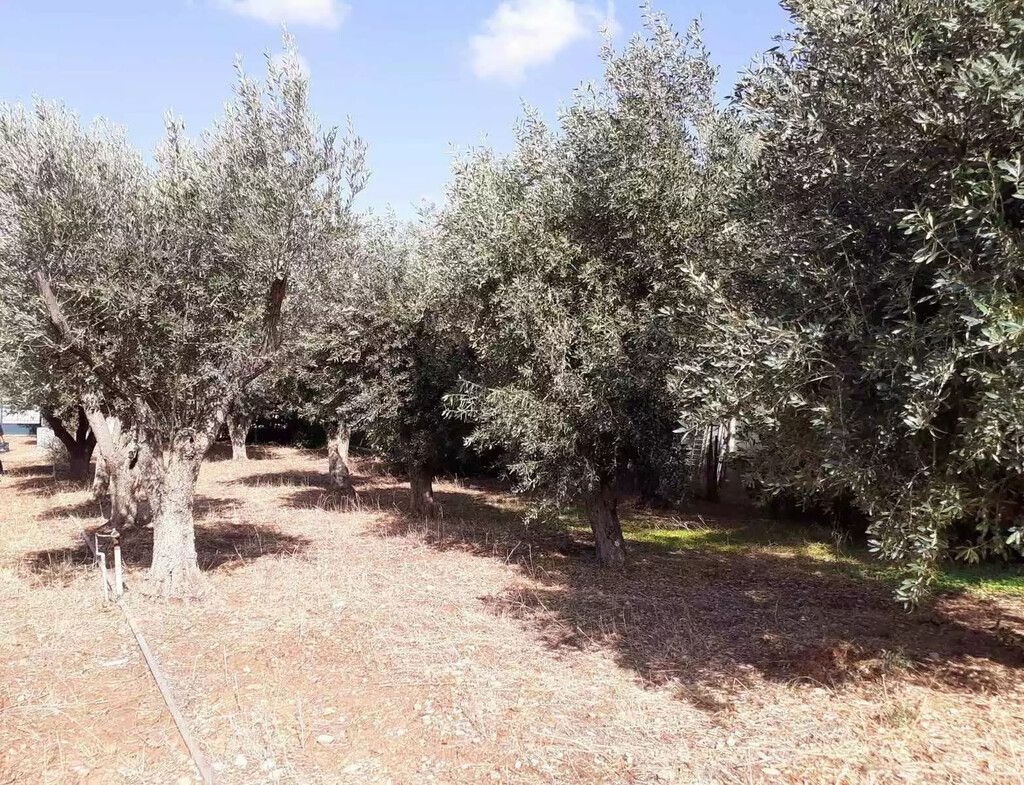 Terreno en Atenas, Grecia, 547 m² - imagen 5