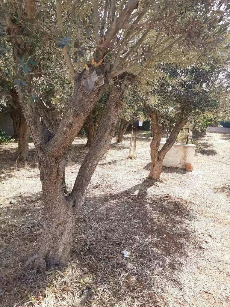 Terreno en Atenas, Grecia, 547 m² - imagen 6