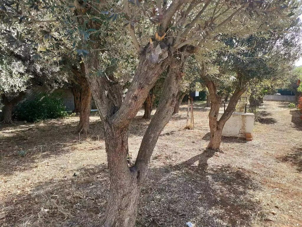 Terreno en Atenas, Grecia, 547 m² - imagen 7