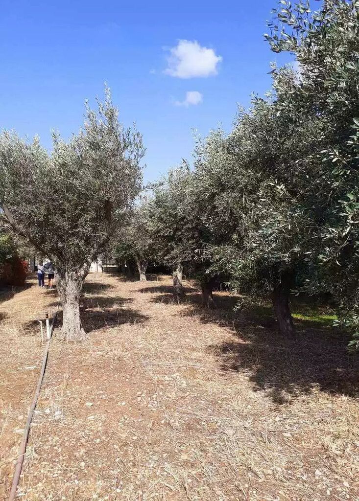 Terreno en Atenas, Grecia, 547 m² - imagen 8