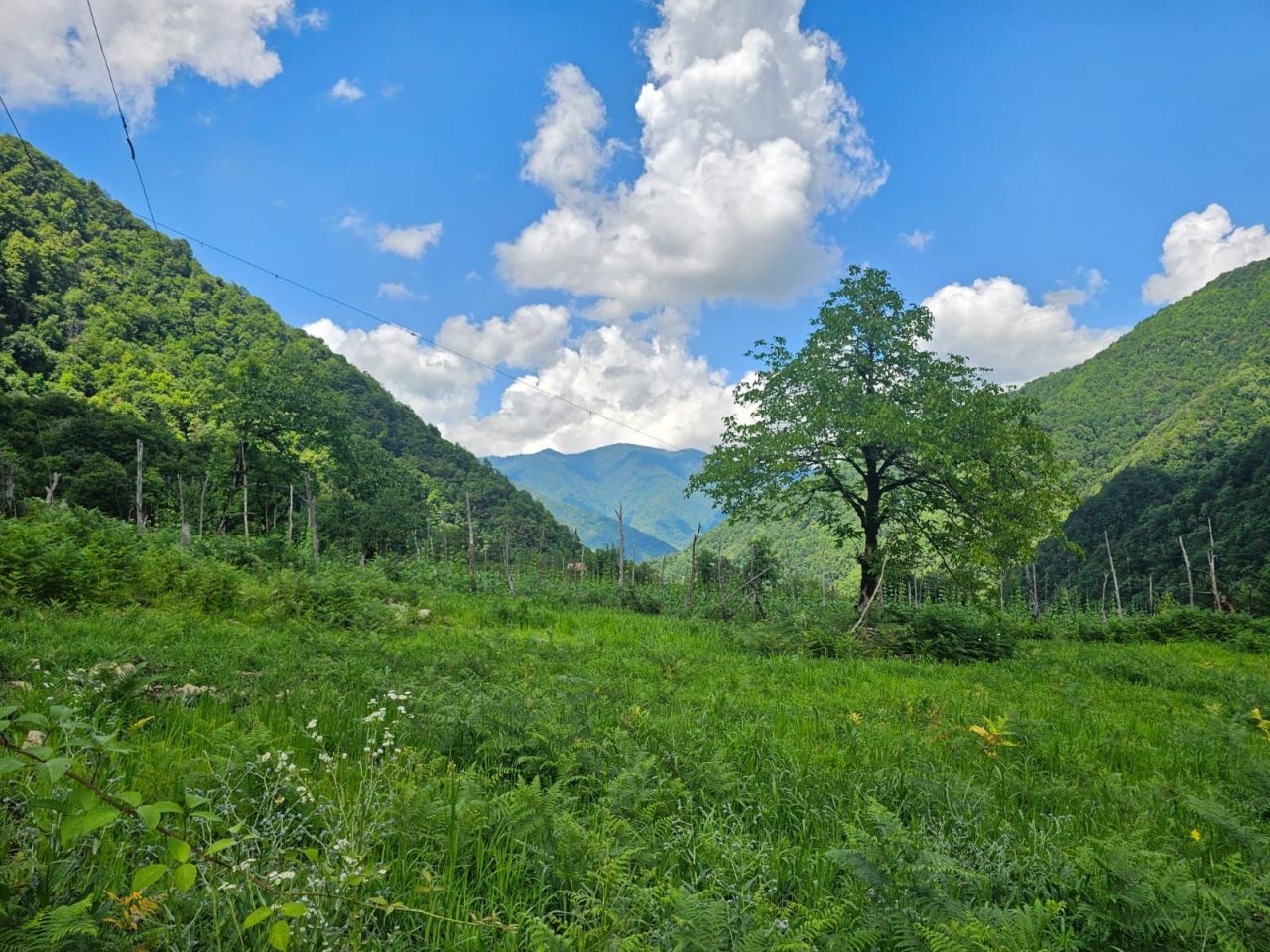 Grundstück in Keda, Georgien, 2 800 m² - Foto 1