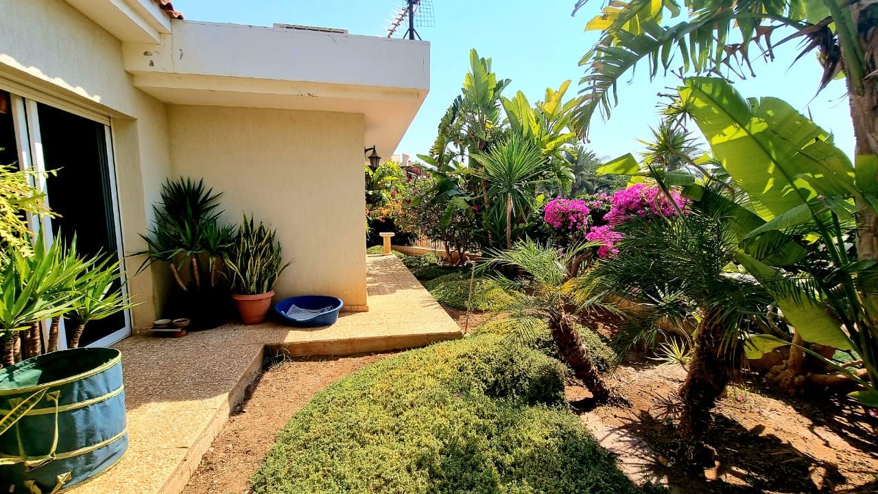 Maison à Agios Tychon, Chypre, 320 m² - image 19