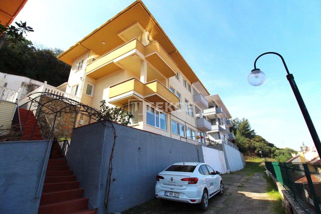 Villa Gemlik, Turquie, 350 m² - image 3