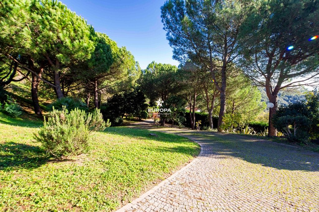 Villa en Dolceacqua, Italia, 351 m² - imagen 17