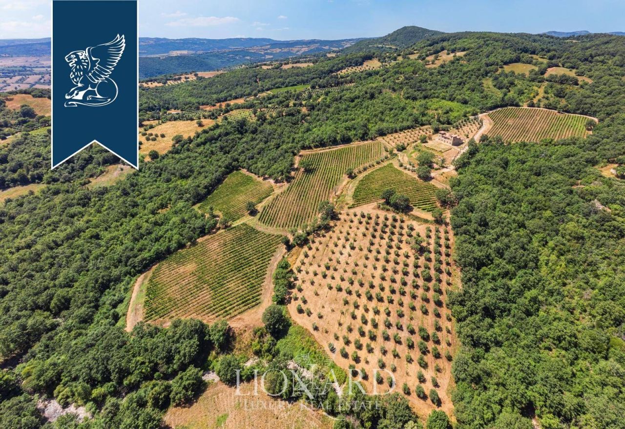 Azienda agricola a Grosseto, Italia, 1 020 m² - foto 5