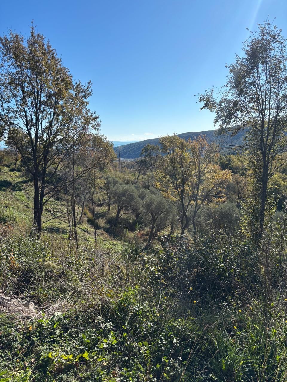 Terrain à Ulcinj, Monténégro, 14 767 m² - image 3