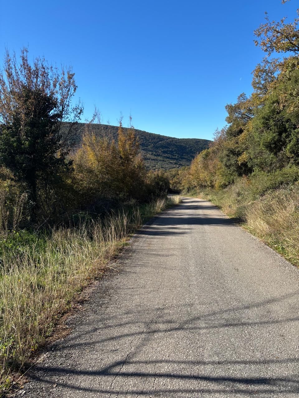 Terrain à Ulcinj, Monténégro, 14 767 m² - image 5