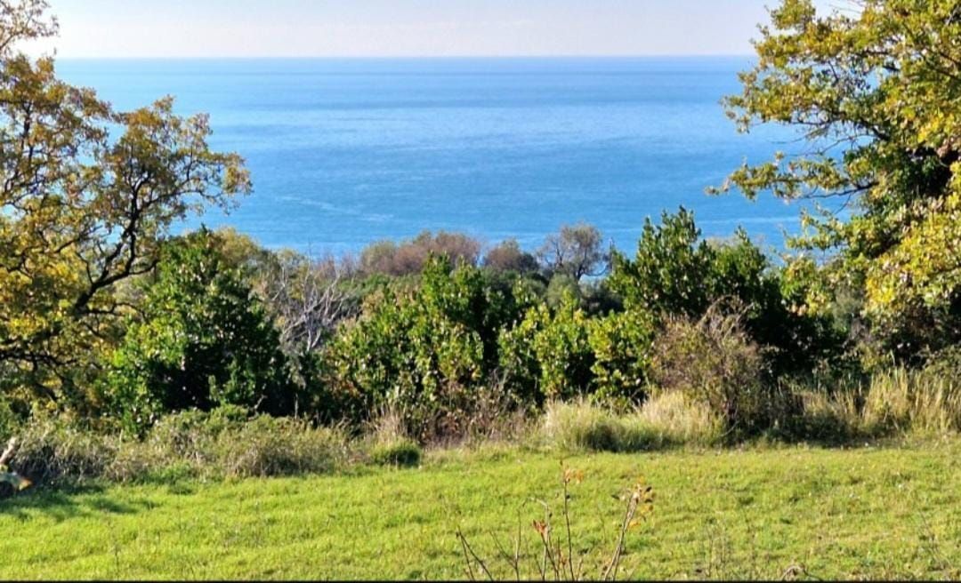 Grundstück in Bar, Montenegro, 1 075 m² - Foto 4