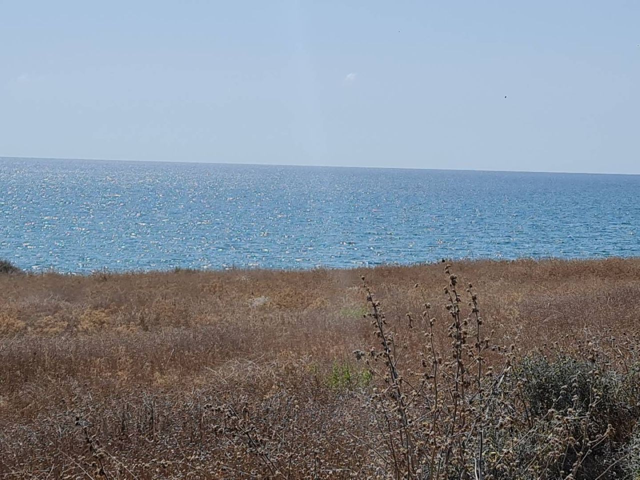 Land in Limassol, Cyprus, 7 842 m² - picture 3