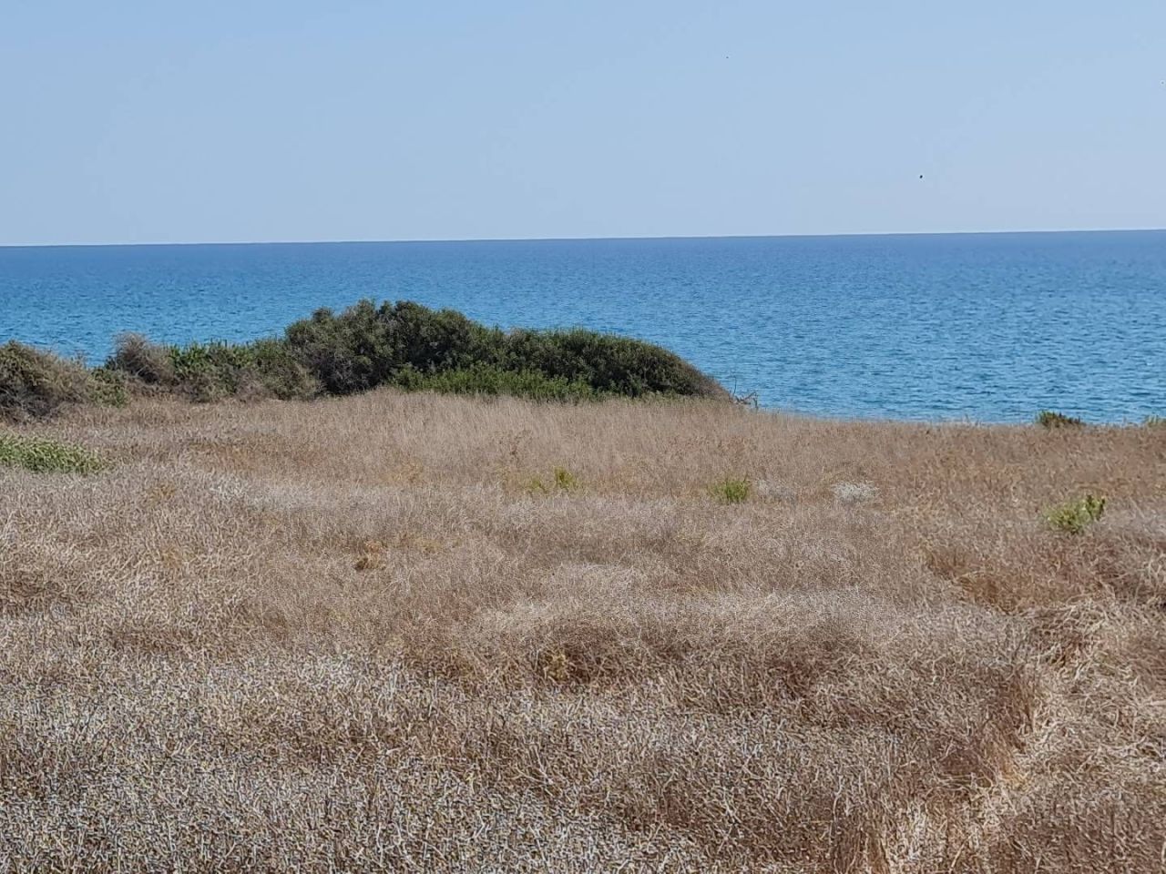 Land in Limassol, Cyprus, 7 842 m² - picture 4