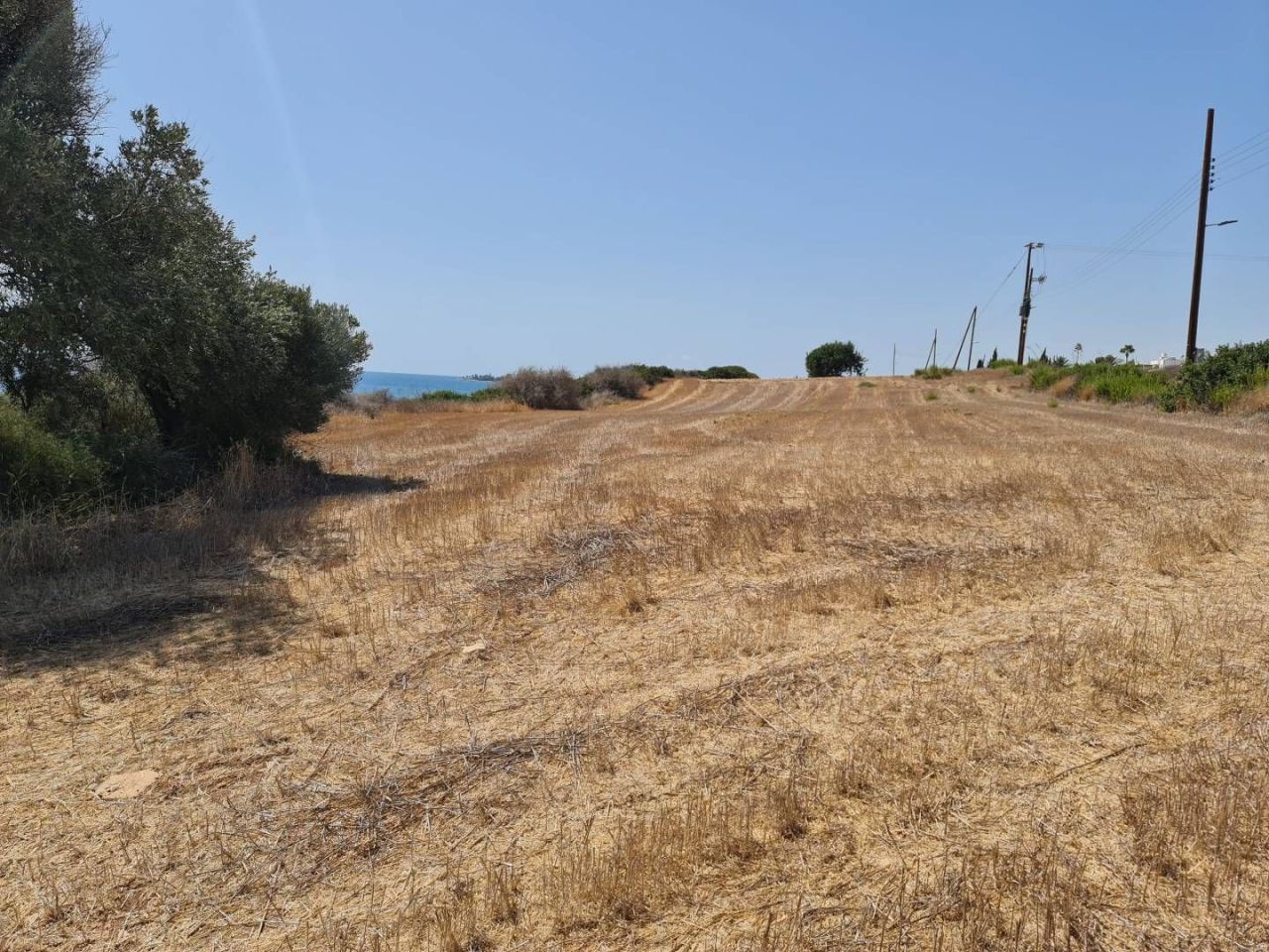 Land in Limassol, Cyprus, 7 842 m² - picture 5