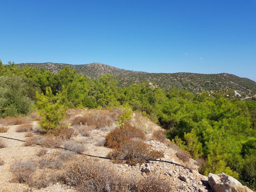 Terrain à Héraklion, Grèce, 4 166 m² - image 11