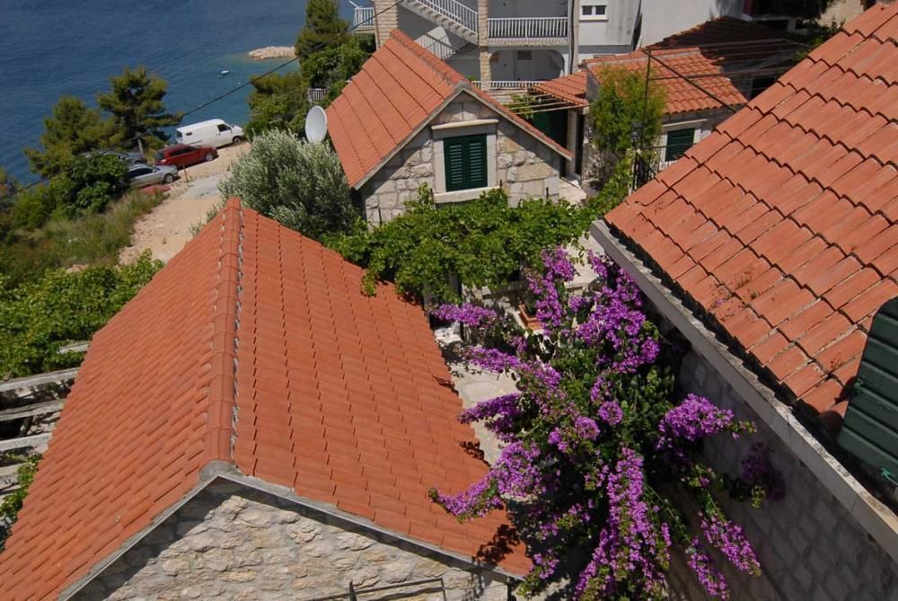 Hôtel Nemira, Croatie, 350 m² - image 1