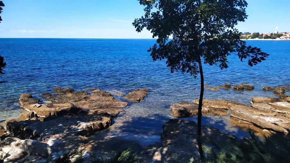 Villa in Umag, Kroatien, 400 m² - Foto 3