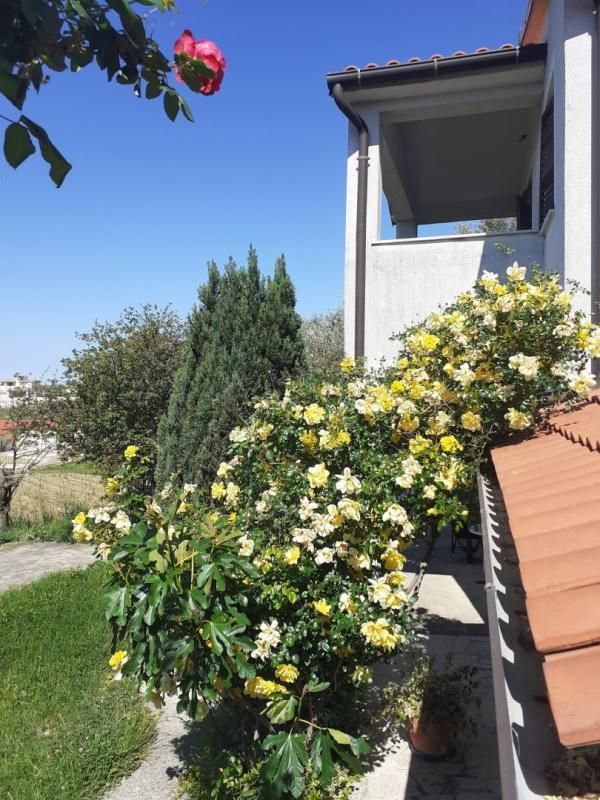 Hotel en Vižinada, Croacia, 357 m² - imagen 2