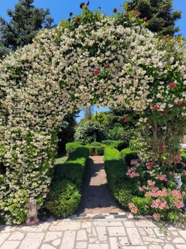 Villa a Medulin, Croazia, 240 m² - foto 3