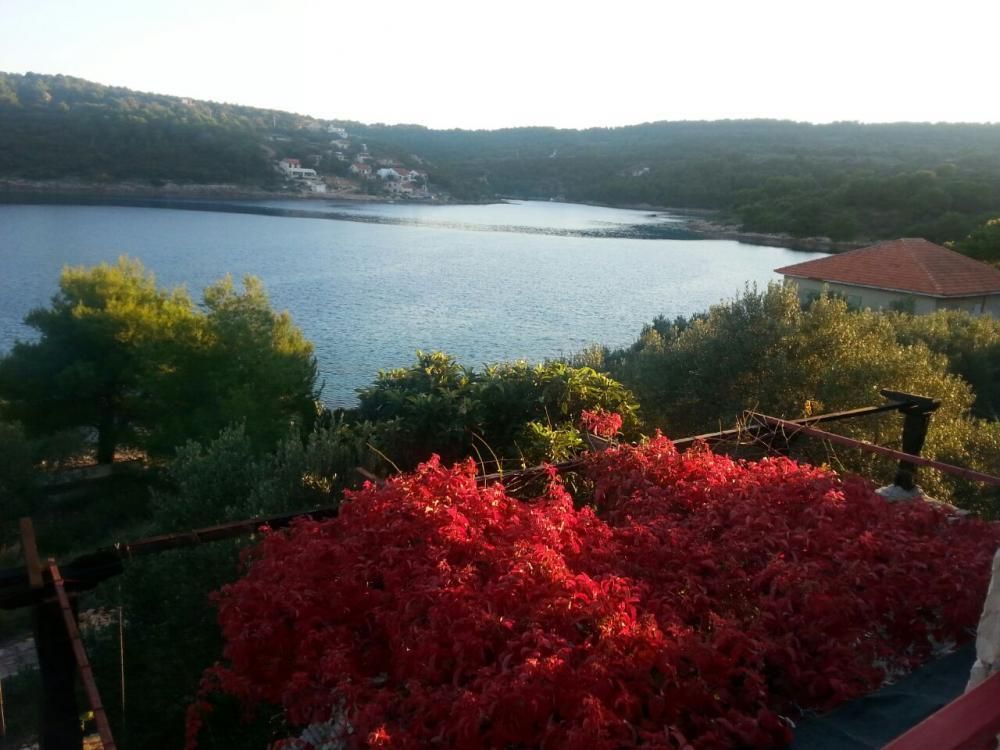 Villa Necujam, Croatia, 230 m² - picture 4