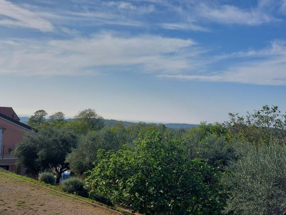 Villa in Rovinj, Croatia, 390 m² - picture 4