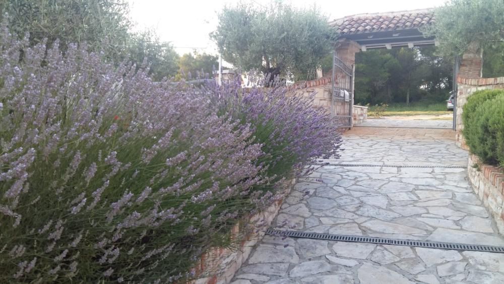 Hotel in Umag, Croatia, 800 m² - picture 3