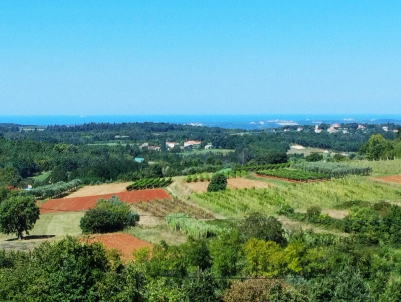 Villa in Vižinada, Kroatien, 354 m² - Foto 4