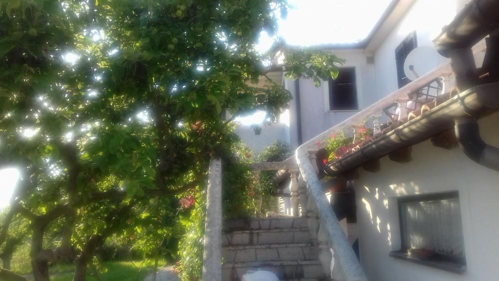 Hotel en Vižinada, Croacia, 357 m² - imagen 4