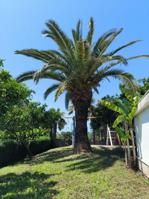 Villa a Medulin, Croazia, 240 m² - foto 6