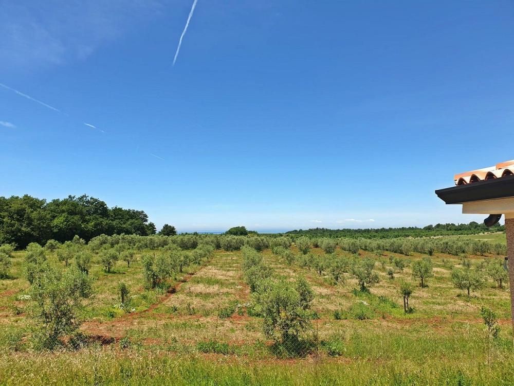 Villa in Novigrad, Croatia, 165 m² - picture 6