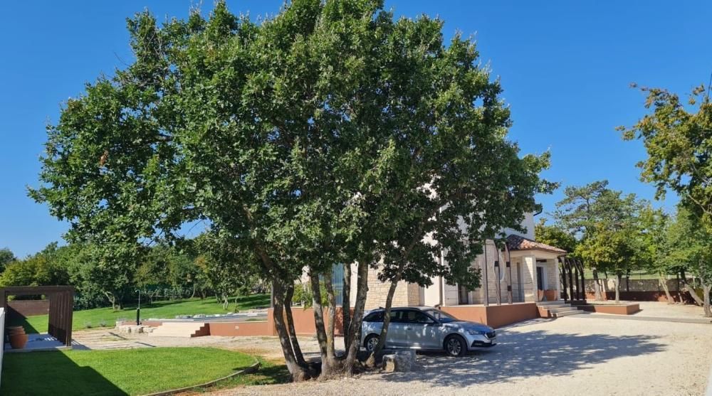 Villa Barban, Croazia, 159 m² - foto 6