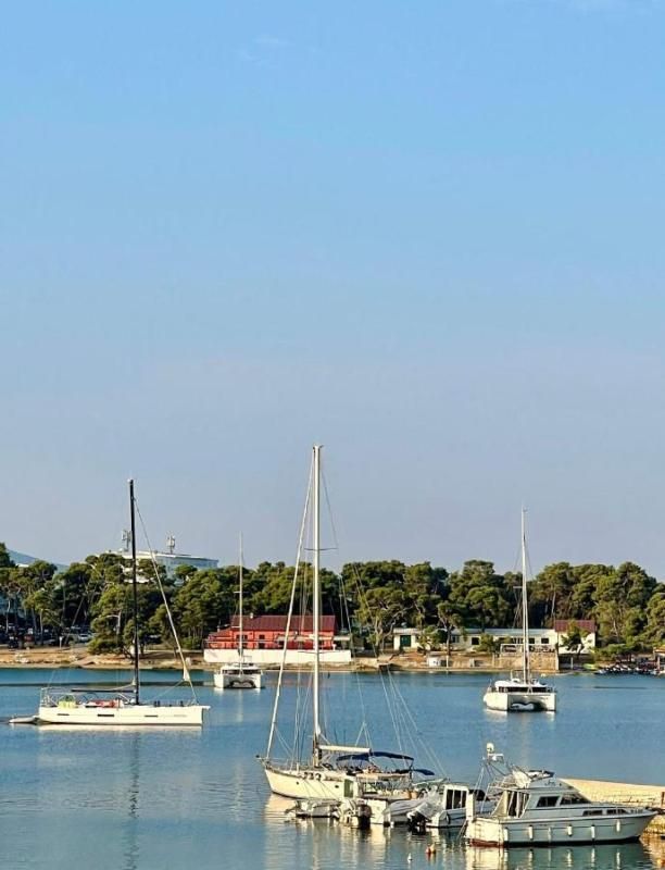 Hôtel à Zadar, Croatie, 651 m² - image 6