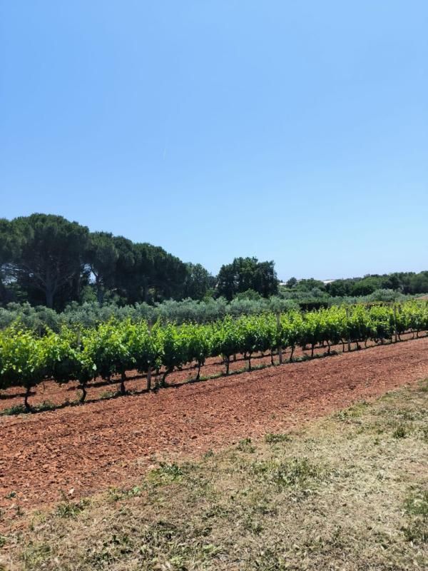 Villa a Medulin, Croazia, 240 m² - foto 7