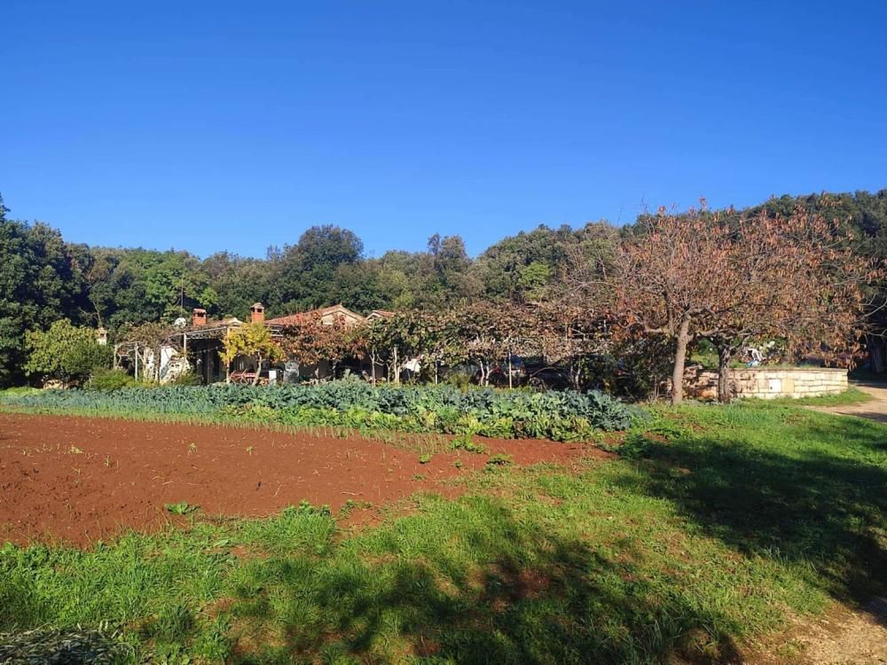 Villa in Rovinj, Croatia, 420 m² - picture 8