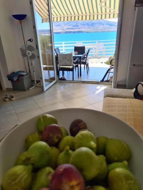 Hotel, albergo Pag, Croazia, 480 m² - foto 6