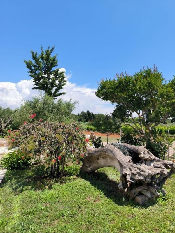 Villa a Medulin, Croazia, 240 m² - foto 8