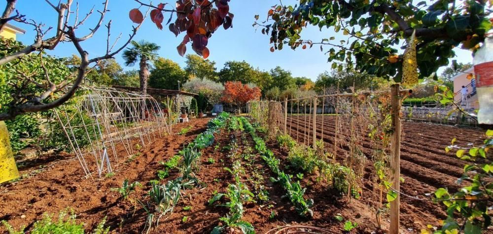 Hôtel à Poreč, Croatie, 420 m² - image 9