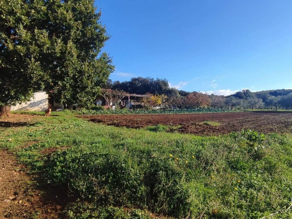 Villa in Rovinj, Croatia, 420 m² - picture 9