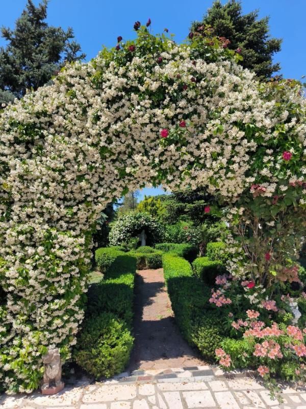 Villa a Medulin, Croazia, 240 m² - foto 9