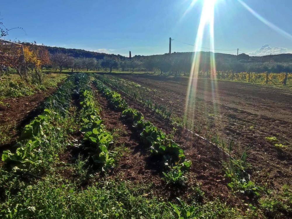 Villa in Rovinj, Croatia, 420 m² - picture 10