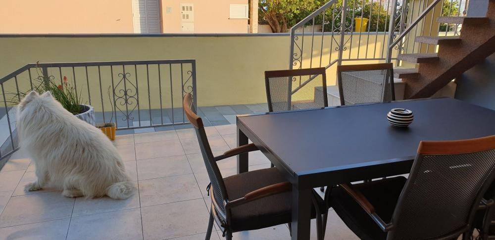 Hotel Nin, Croatia, 200 m² - picture 10