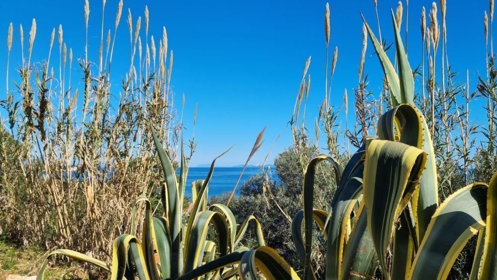 Villa in Vis, Kroatien, 140 m² - Foto 10