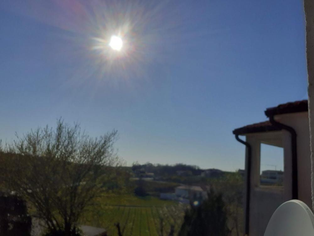 Hotel in Vizinada, Croatia, 357 m² - picture 13