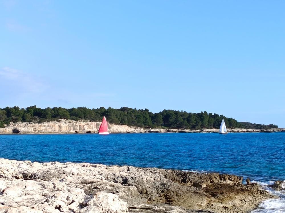 Villa in Pula, Croatia, 310 m² - picture 14