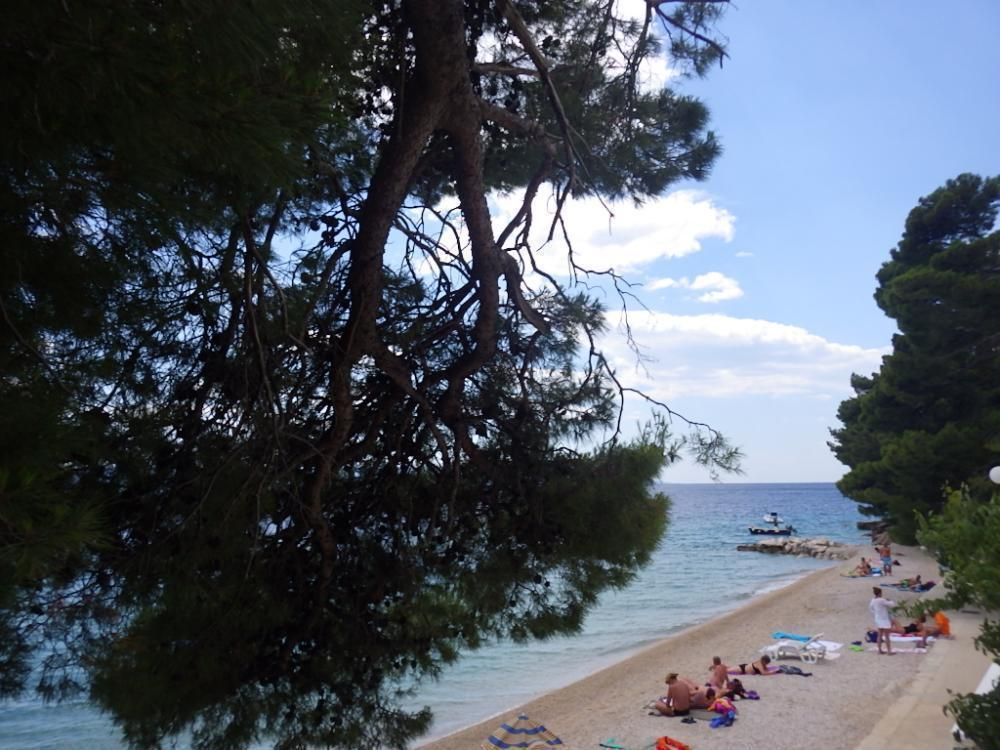 Hotel in Baska Voda, Croatia, 400 m² - picture 16