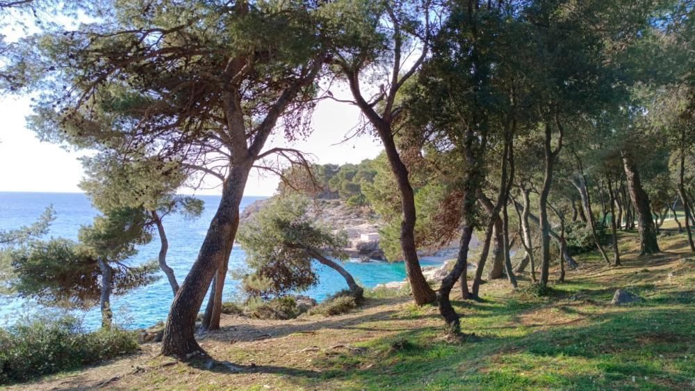 Villa in Pula, Croatia, 310 m² - picture 18