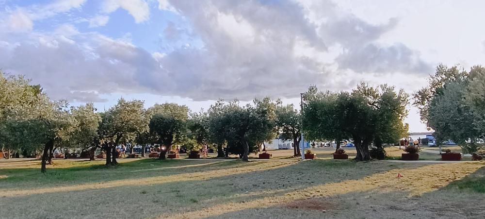 Hotel, albergo a Fasana, Croazia, 648 m² - foto 18