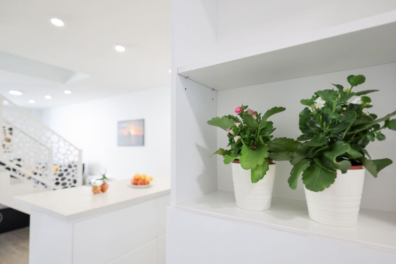 Villa in Privlaka, Kroatien, 162 m² - Foto 18