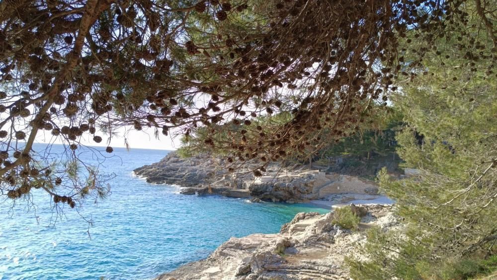 Villa in Pula, Croatia, 310 m² - picture 19