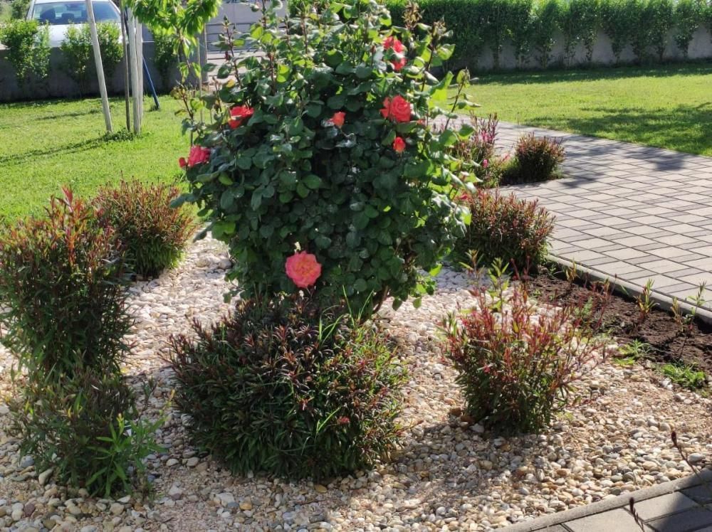 Hotel, albergo Zaton, Croazia, 235 m² - foto 19