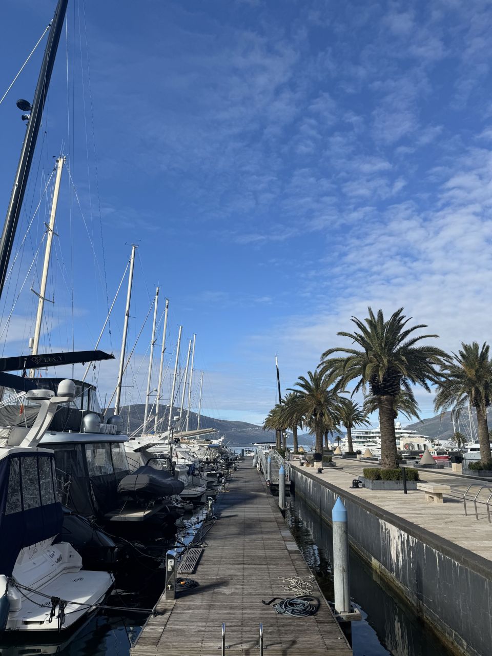 Land in Tivat, Montenegro, 24 381 m² - picture 2