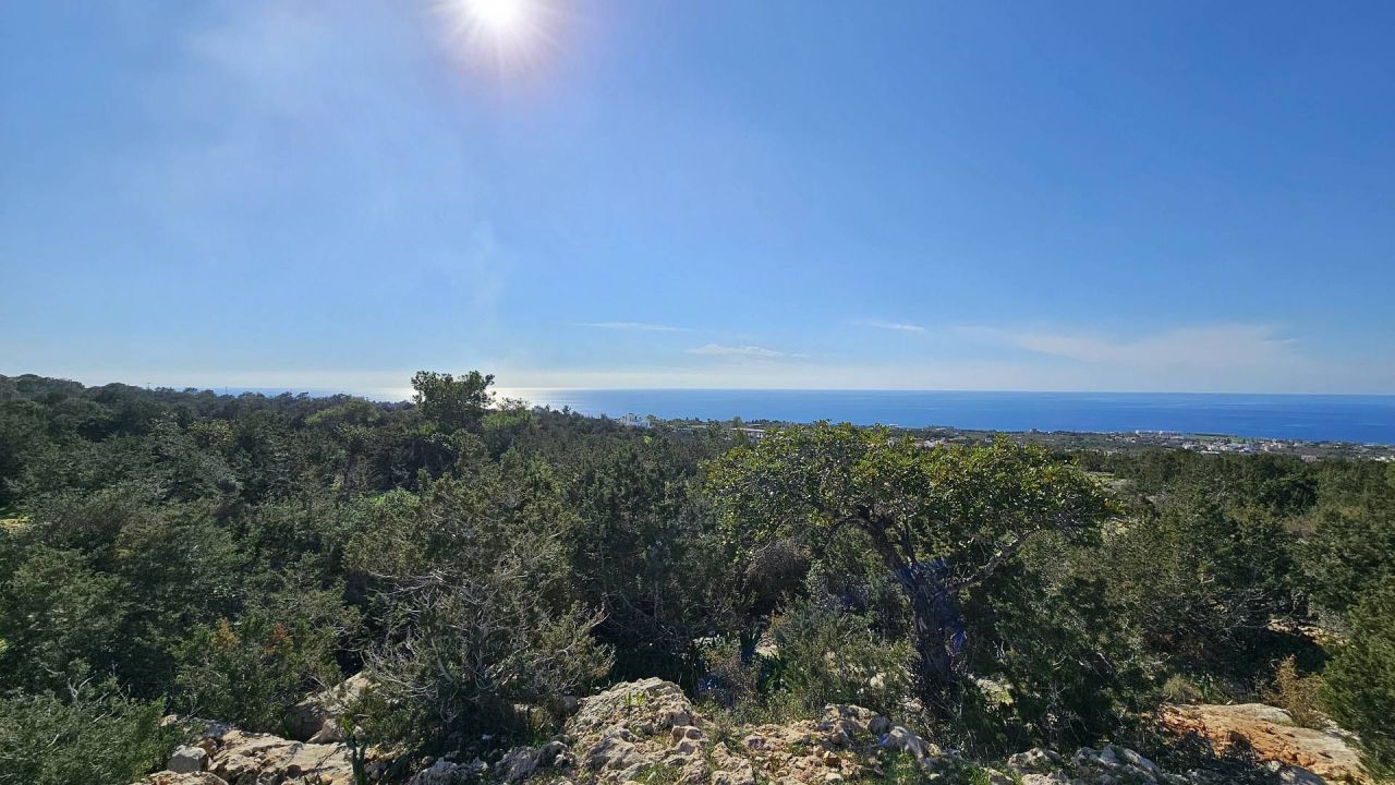 Terrain à Pejia, Chypre, 56 196 m² - image 1