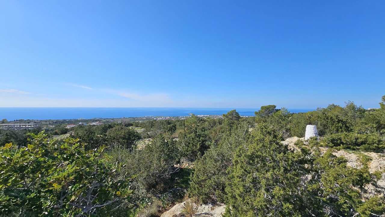 Terrain à Pejia, Chypre, 56 196 m² - image 2